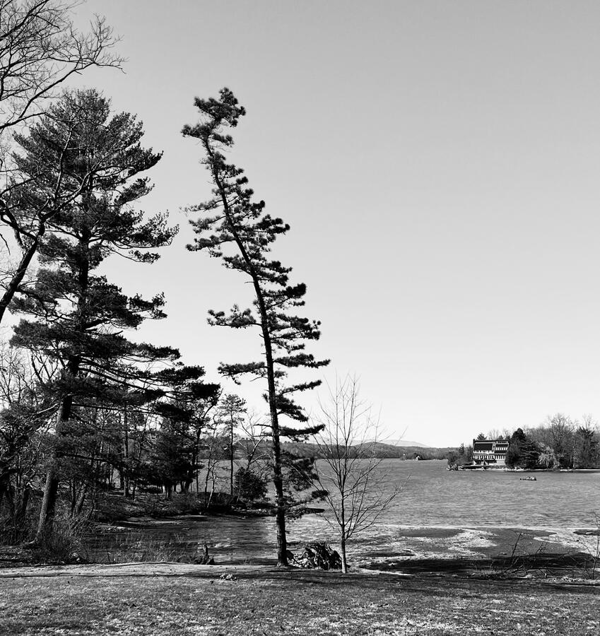 Leaning With Memories